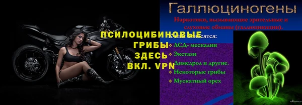 сатива Алексеевка