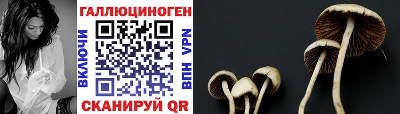 MEGA ONION  Могоча  Галлюциногенные грибы мухоморы 